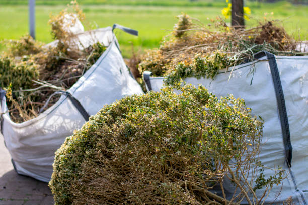 Best Junk Removal Near Me  in Caoncito, NM